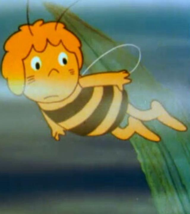 Das Bienenmädchen Maja fliegt durch ein Blätterdickicht inmitten von Nebelschwaden. Sie schaut sich suchend um.