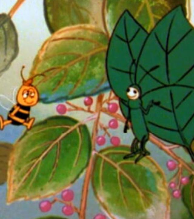 Willi fliegt und schaut verdutzt. Ihm gegenüber steht ein grüner Schmetterling auf einem Blatt und ist zwischen den anderen Blättern kaum zu erkennen.