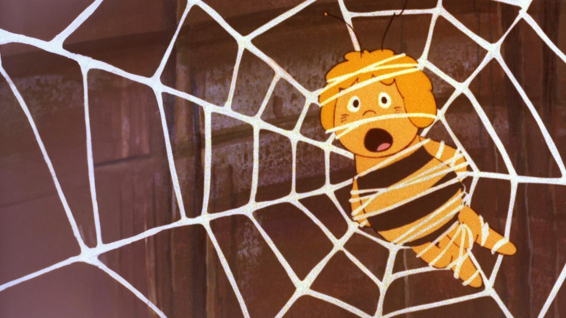 Bienenmädchen Maja ist in einem Spinnennetz gefangen.
