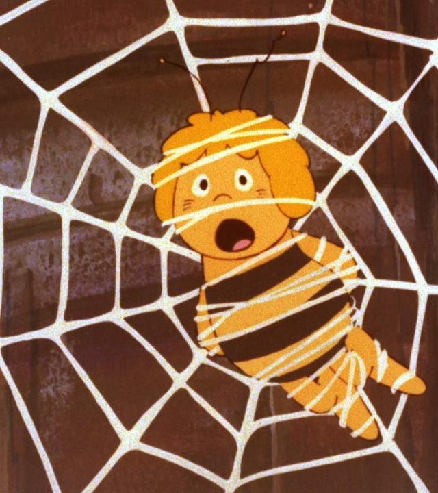 Bienenmädchen Maja ist in einem Spinnennetz gefangen.