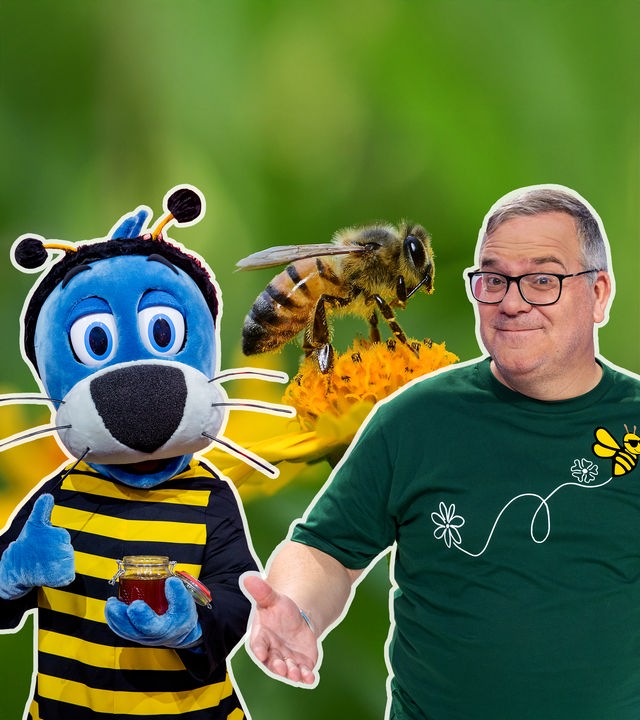 Piet Flosse im Bienenkostüm und Elton stehen vor einem großen Foto, das eine Biene auf einer Blüte zeigt. 