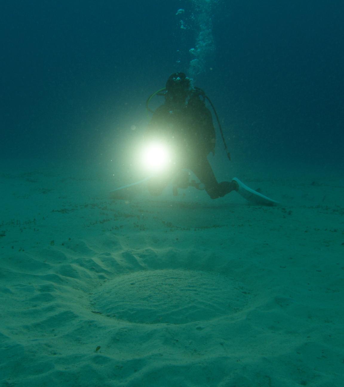 "Big Pacific (2/4) - Der geheimnisvolle Ozean": Ein Taucher am sandigen grünlich schimmernden Meeresboden leuchtet auf einen Kreis aus Wellenformen.