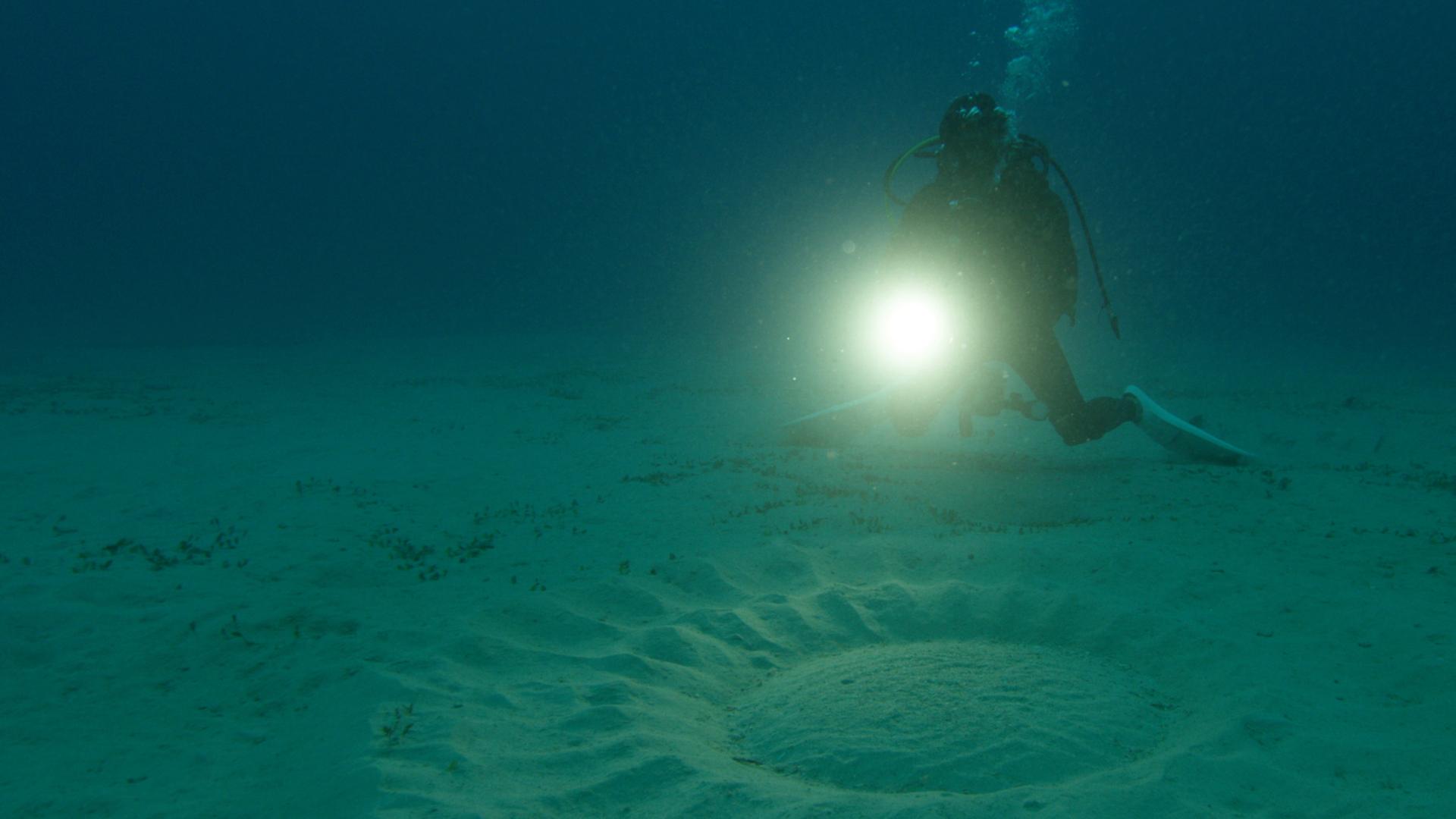 Bild für Der geheimnisvolle Ozean 