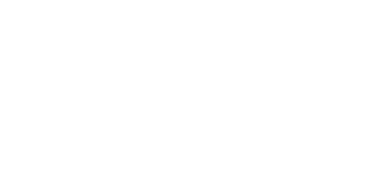 Logo "bigger picture"