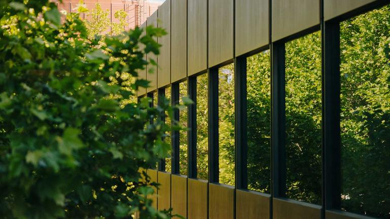 Laub und Bäume spiegeln sich in den Fenstern eines Gebäudes auf dem ZDF-Gelände des Mainzer Lerchebergs.