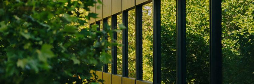 Laub und Bäume spiegeln sich in den Fenstern eines Gebäudes auf dem ZDF-Gelände des Mainzer Lerchebergs.