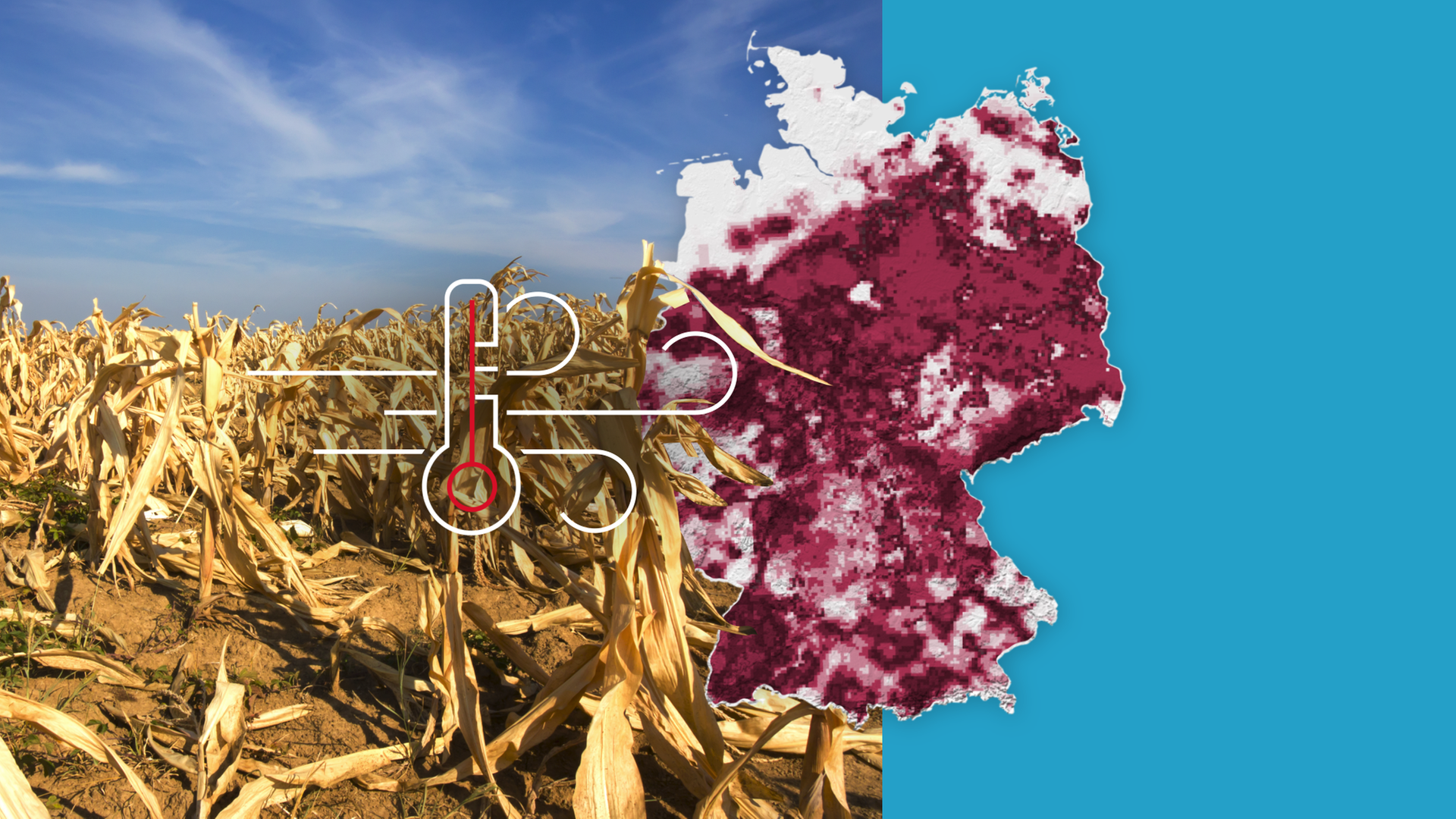 Das Bild ist ein Symbolbild und zeigt eine Deutschlandkarte, die die trockensten Region in Deutschland zeigt. Nebendran ein ausgetroknetes Kornfeld und Pictogramme zu Temperatur und Wind. 