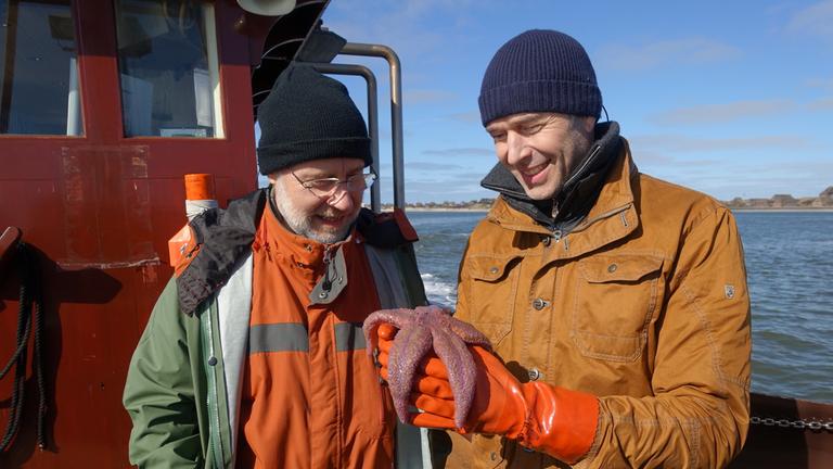 "Terra X - Lesch und Steffens": Harald Lesch und Dirk Steffens stehen an Bord eines Schiffes. Steffens hält einen Seestern auf seinen Händen, die in Gummihandschuhen stecken.