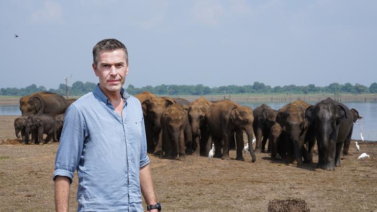 "Faszination Erde - mit Dirk Steffens: Sri Lanka - Geschenk des Himmels": Dirk Steffens steht vor einer Herde Elefanten. Im Hintergrund ist ein See zu erkennen.