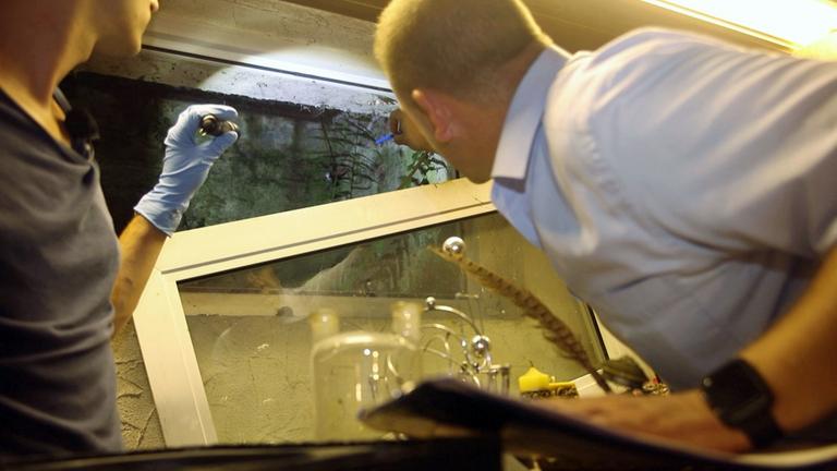 "ZDFzoom: Tatort Deutschland - Leichtes Spiel für Einbrecher": Polizeibeamte untersuchen ein herausgebrochenes Fenster.