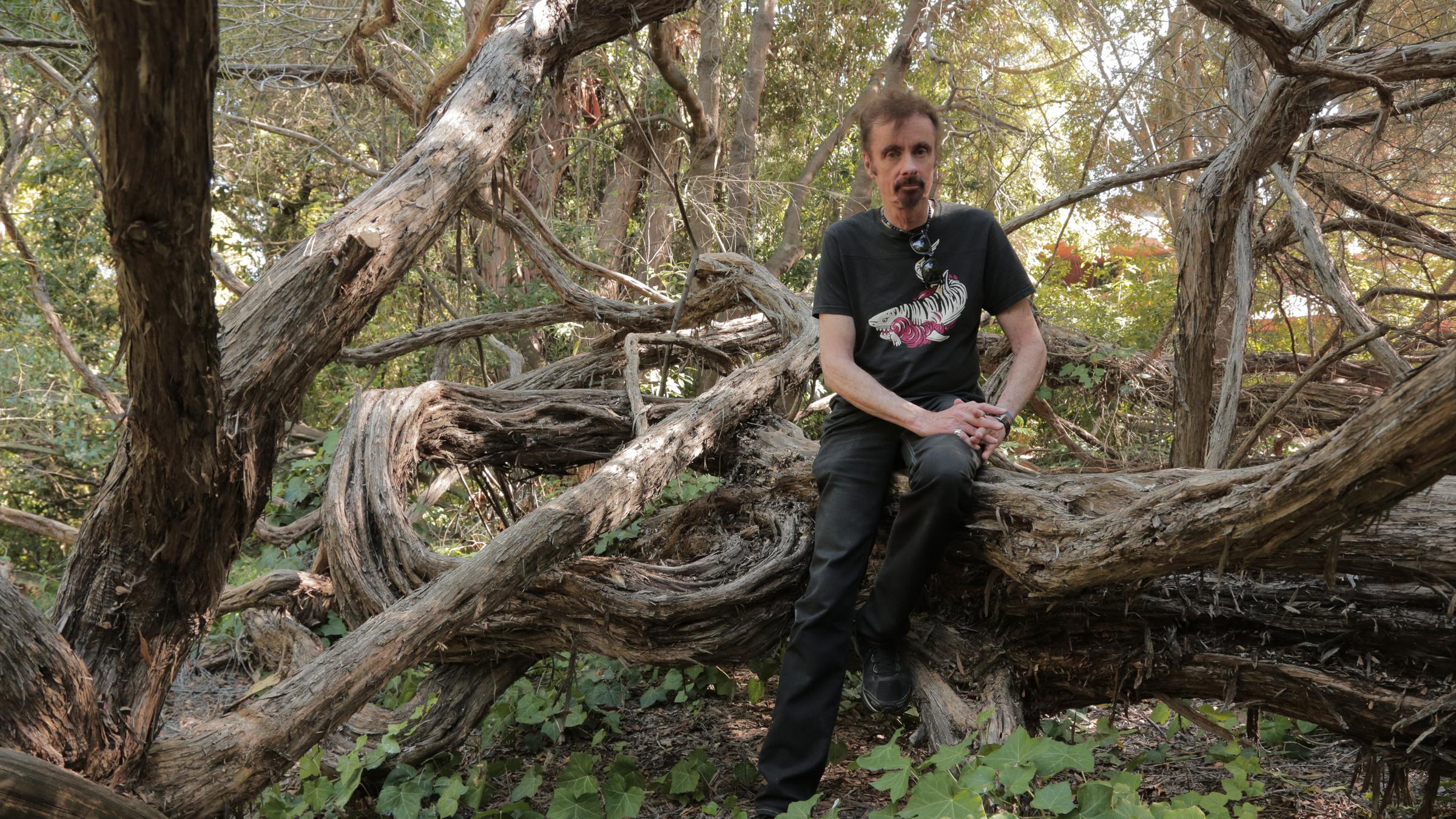  "Stars gegen Trump - Amerikas neuer Widerstand": Der Schriftsteller T. C. Boyle sitzt auf einem Baumstamm in seinem Garten in Kalifornien.