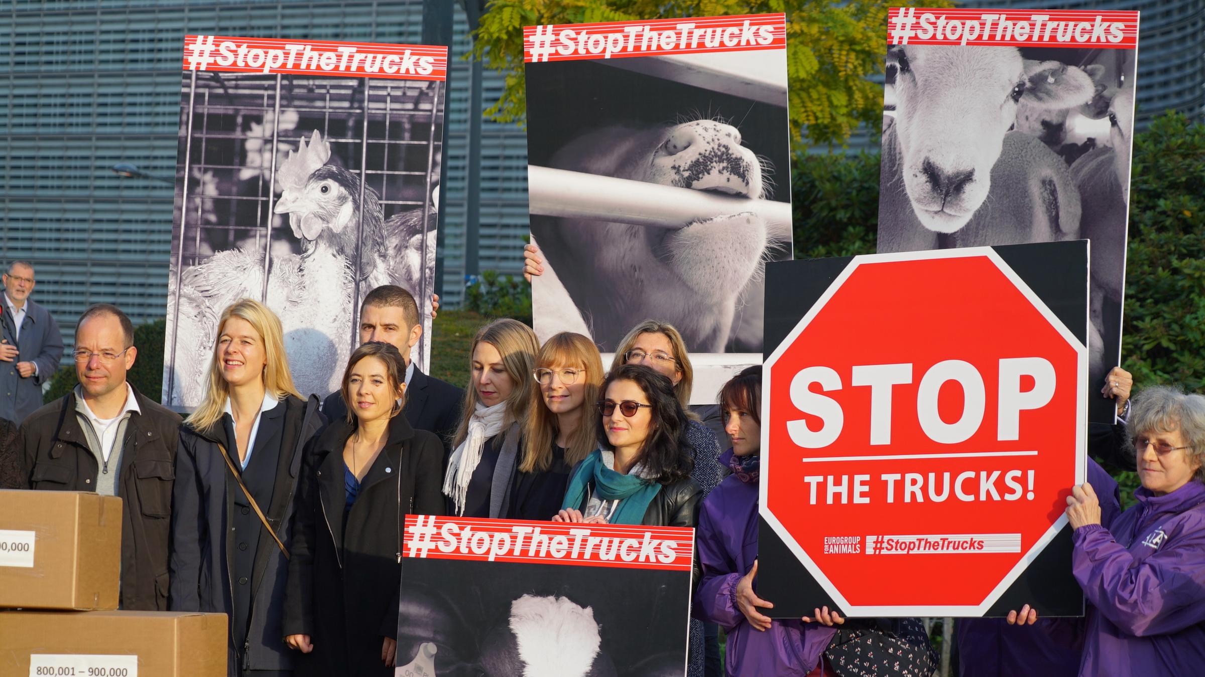 "37°: Geheimsache Tiertransporte - Wenn Gesetze nicht schützen": Tierschutzorganisationen aus ganz Europa demonstrieren vor der der EU-Kommission in Brüssel.