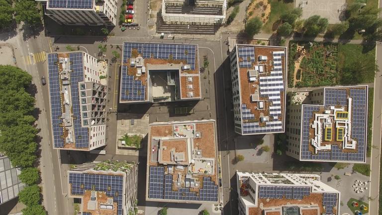 "plan b: Kleine Miete - tolle Wohnung - Günstig wohnen in der City": Blick von oben auf die Wohnhäuser des Hunziker-Areals Zürich.