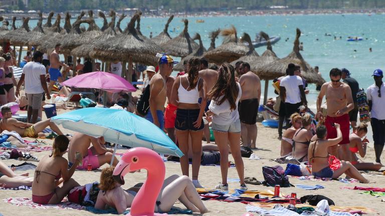 "ZDF.reportage: Mallorca vor dem Kollaps": Voller Stand auf Mallorca.