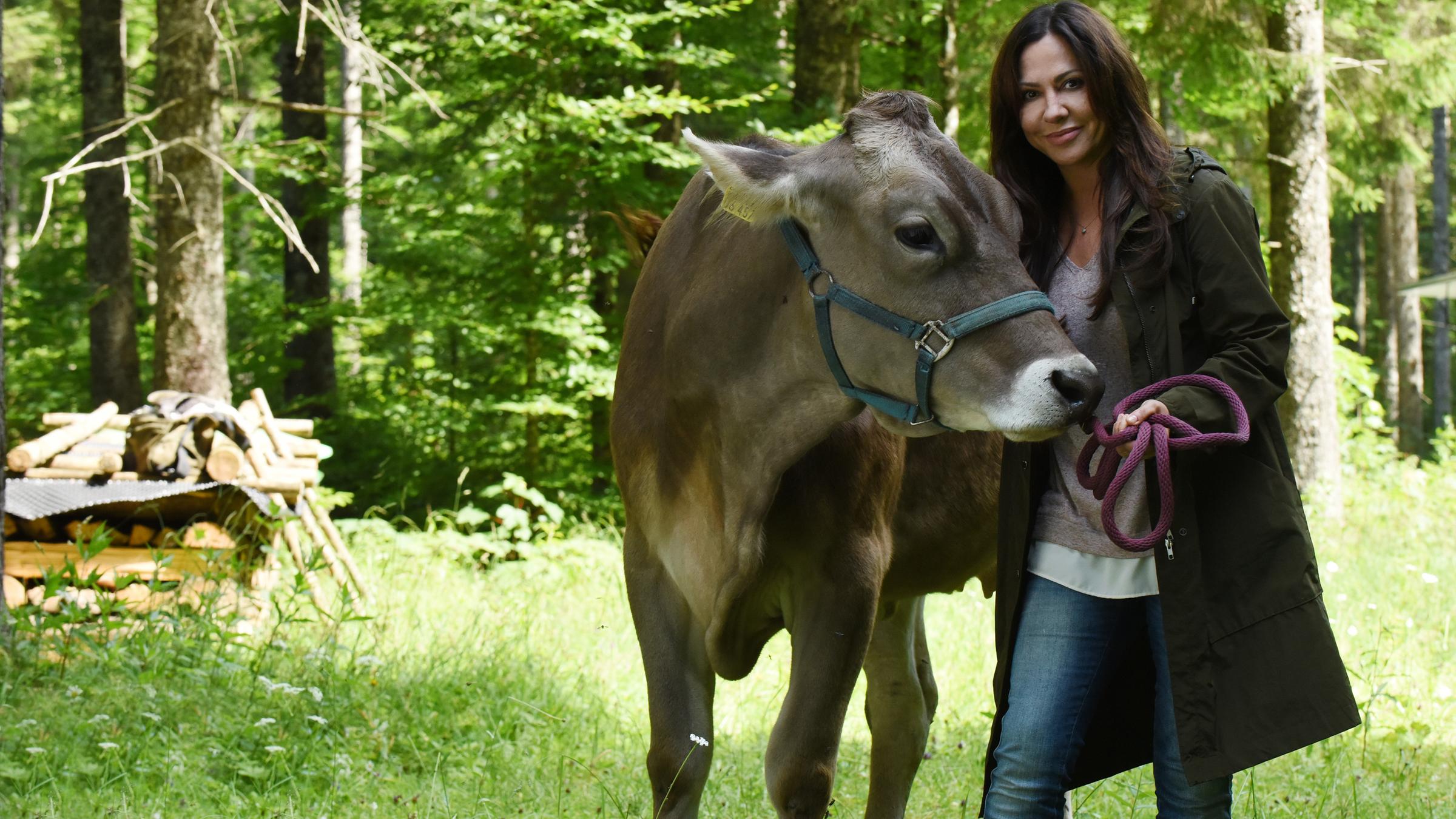 "Frühling - Mehr als Freunde": Dorfhelferin Katja (Simone Thomalla) steht auf einer Waldlichtung, hält eine Kuh am Zaumzeug fest und lächelt.
