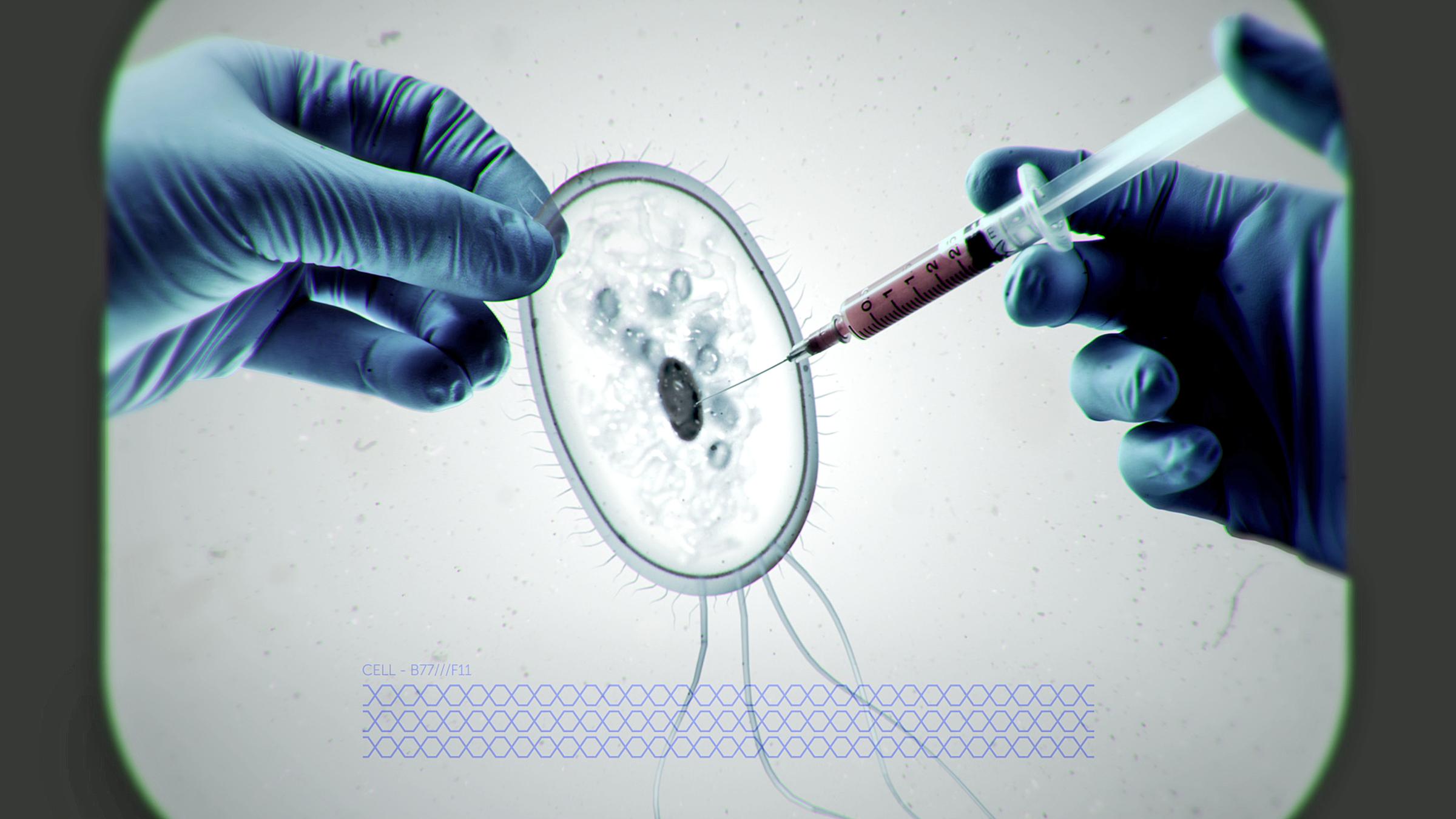 "Die Gen-Revolution: Der Mensch als Schöpfer": Eine Zelle wird unter dem Mikroskop manipuliert.