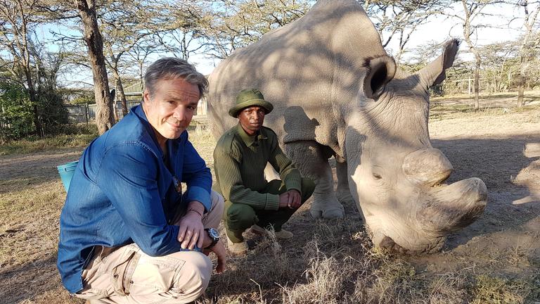 "Hannes Jaenicke: Im Einsatz für Nashörner": Hannes Jaenicke und ein Ranger knien im Freien neben dem Nashorn Sudan.
