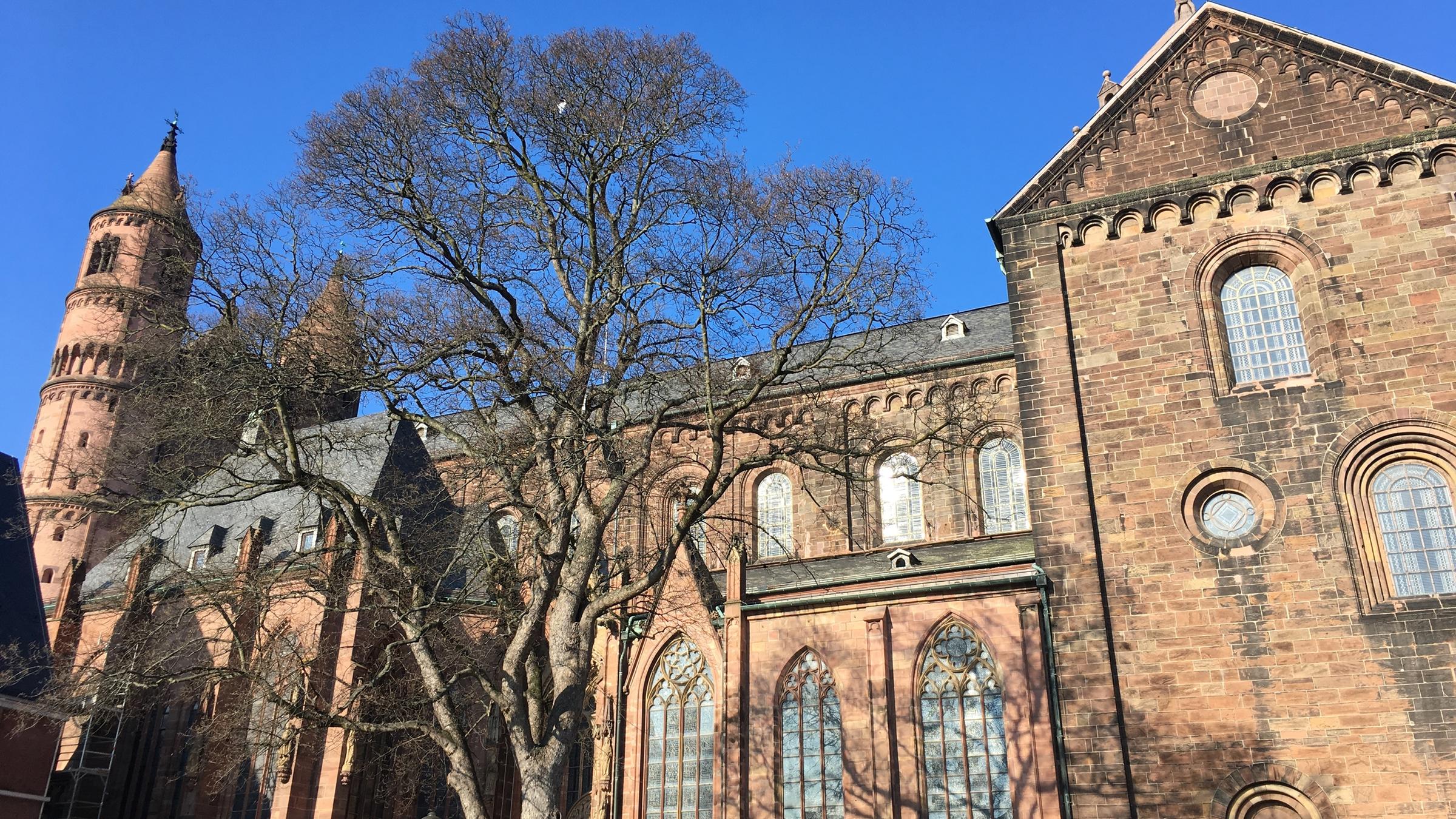 "Terra X: Der Wormser Wunderbau: 1000 Jahre Kaiserdom": Südseite des Wormser Doms St. Peter vor einem strahlend blauen Himmel.