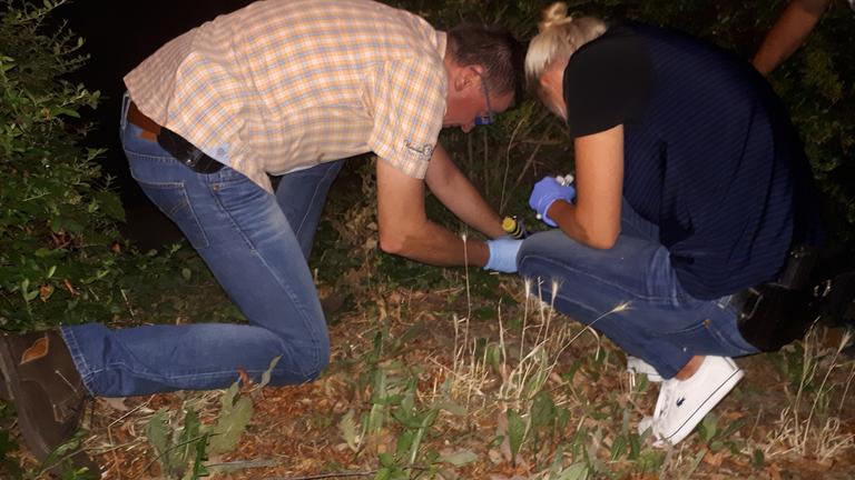 "37°: Die Kriminalisten - Dem Verbrechen auf der Spur": Peter W. und Jana L., beide von der Seite zu sehen, hocken auf dem Boden vor einem Gebüsch und suchen mit einer Taschenlampe Spuren auf dem Boden.