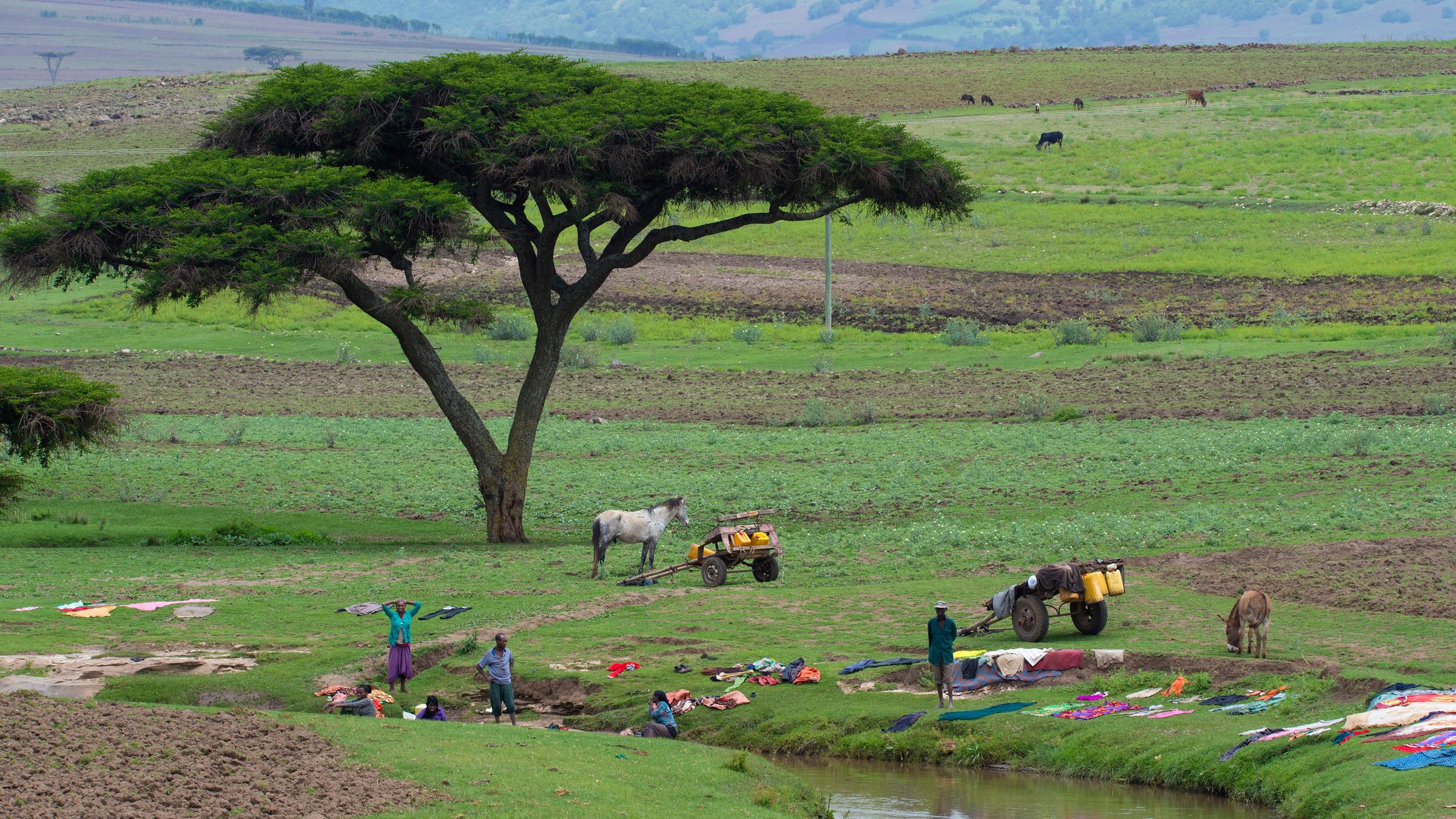 "planet e.: Der Wert der Artenvielfalt - 1. Äthiopien": An einem Fluss befinden sich mehrere Personen und machen Wäsche. Mehrere bunte Kleidungsstücke liegen im Gras zum Trocknen.