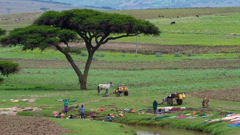 "planet e.: Der Wert der Artenvielfalt - 1. Äthiopien": An einem Fluss befinden sich mehrere Personen und machen Wäsche. Mehrere bunte Kleidungsstücke liegen im Gras zum Trocknen.