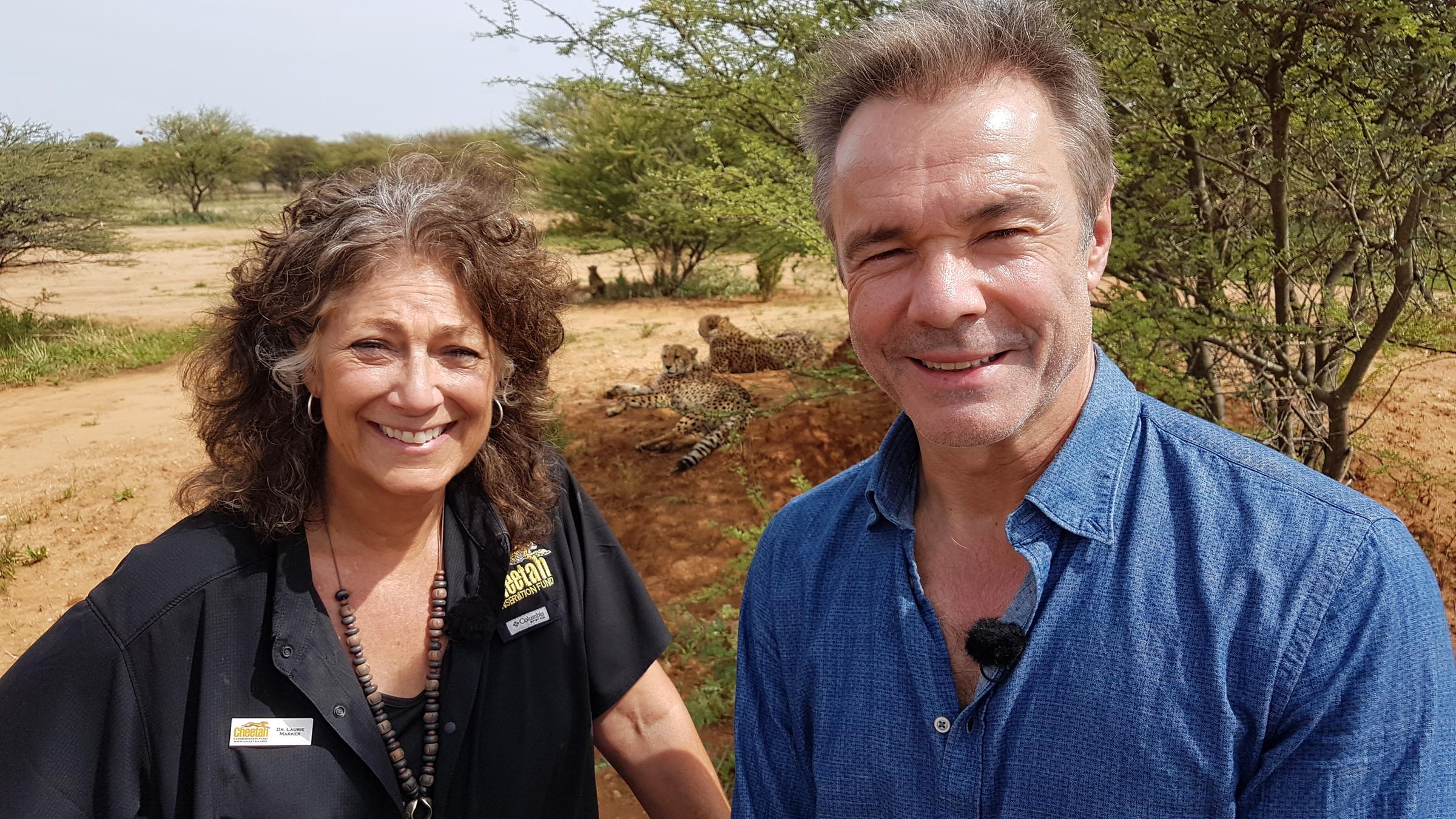 "Hannes Jaenicke - Im Einsatz für Geparden": Hannes Jaenicke und Laurie Marker in der afrikanischen Savanne. Im Hintergrund liegen drei Geparde.