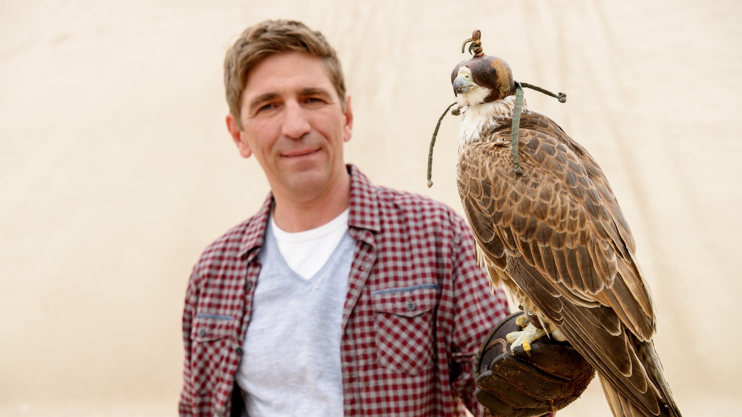 "Löwenzahn: Falke - Verloren in weiten Lüften": Auf Fritz Fuchs' (Guido Hammesfahr) linker Hand sitzt ein großer Falke. Dafür trägt Fritz einen Schutzhandschuh.