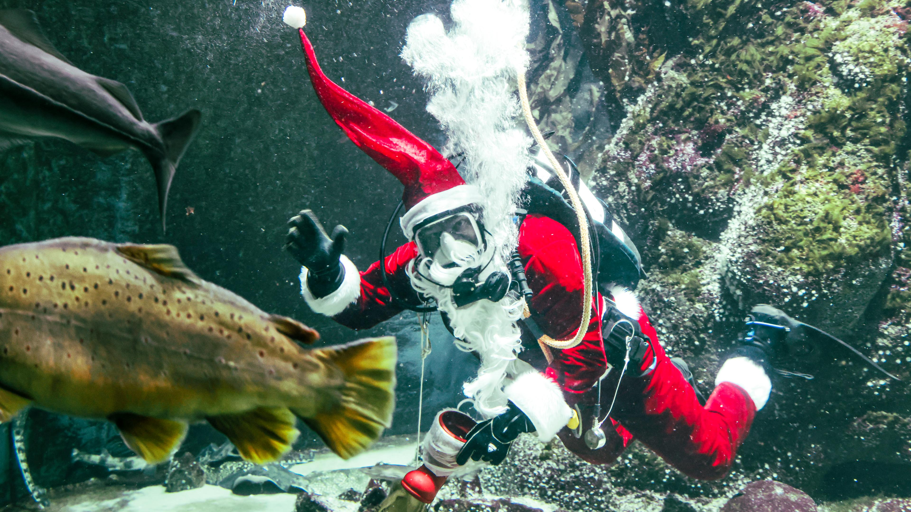 Ein Weihnachtsmann taucht mit voller Taucherausrüstung durch eine Unterwasserwelt. Er winkt mit rechts und hält einen Roten Winterstiefel in der linken Hand. Zwei Fische schwimmen vor ihm her.