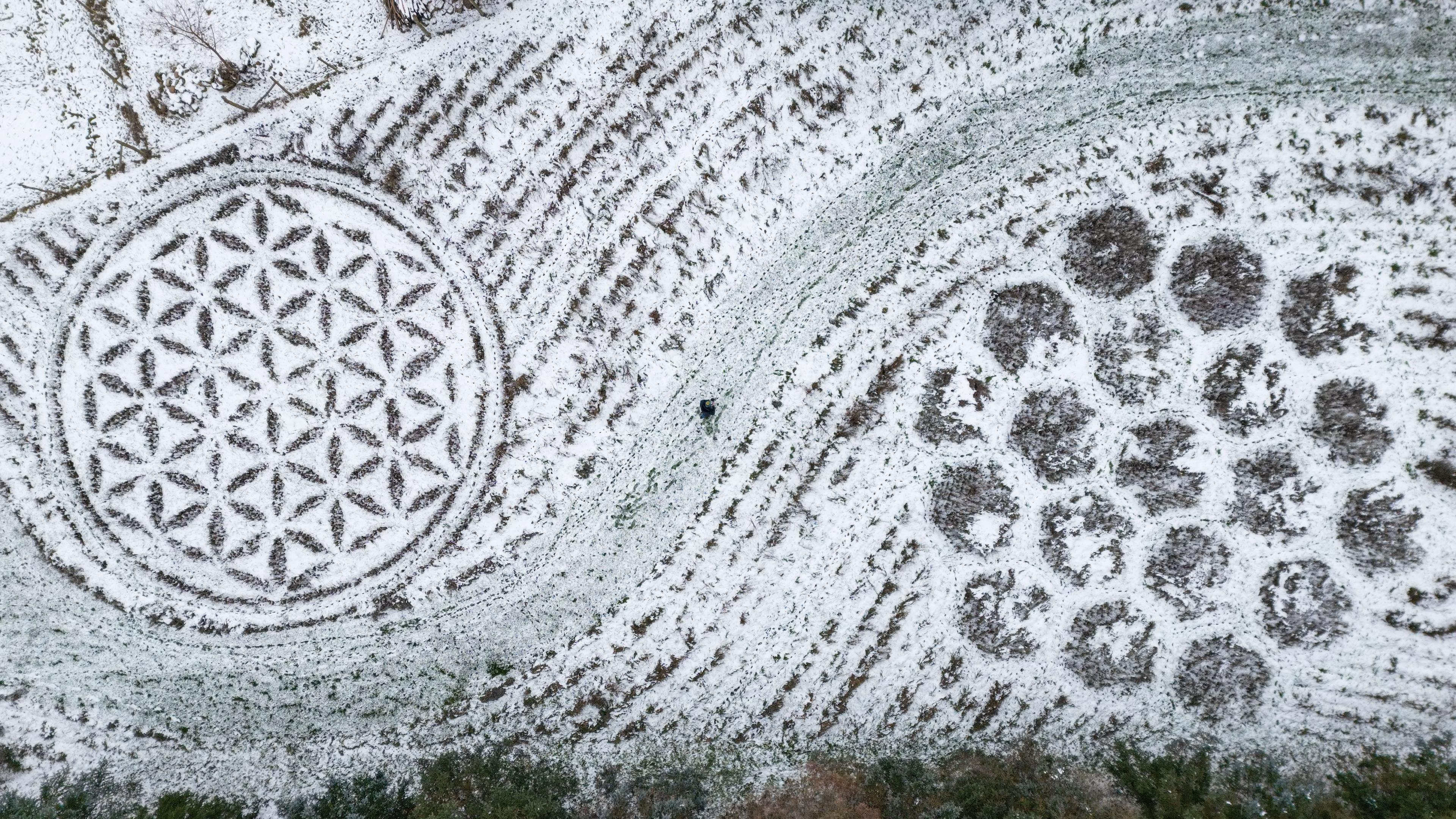 Man blickt aus der Vogelperspektive auf ein Schneebedecktes Feld. Es ist wohl eine Wiese, denn durch die weiße Schneedecke schimmert es grün. Im Schnee sind allerdings Muster zu erkenne, die aussehen, wie ein Gitterkuchen, auf den man Puderzucker gestreut hat, beziehungsweise wie der Blick durch ein Kaleidoskop.