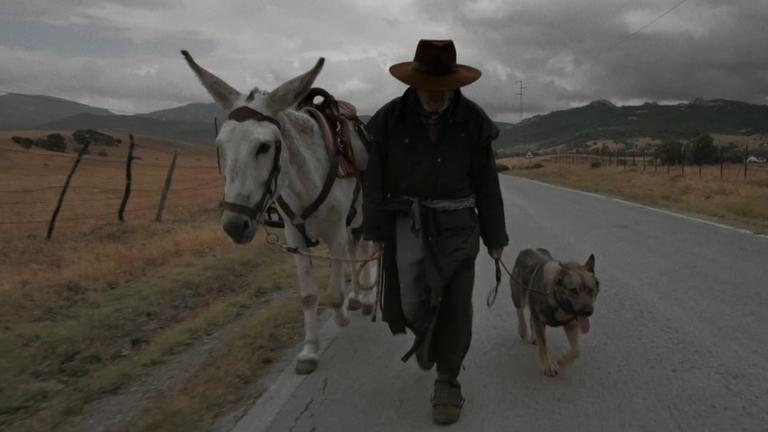 "Donkeyote" (Arte): Manolo wandert mit seinem Esel an der rechten und einem Schäferhund auf der linken Seite über eine einsame Landstraße