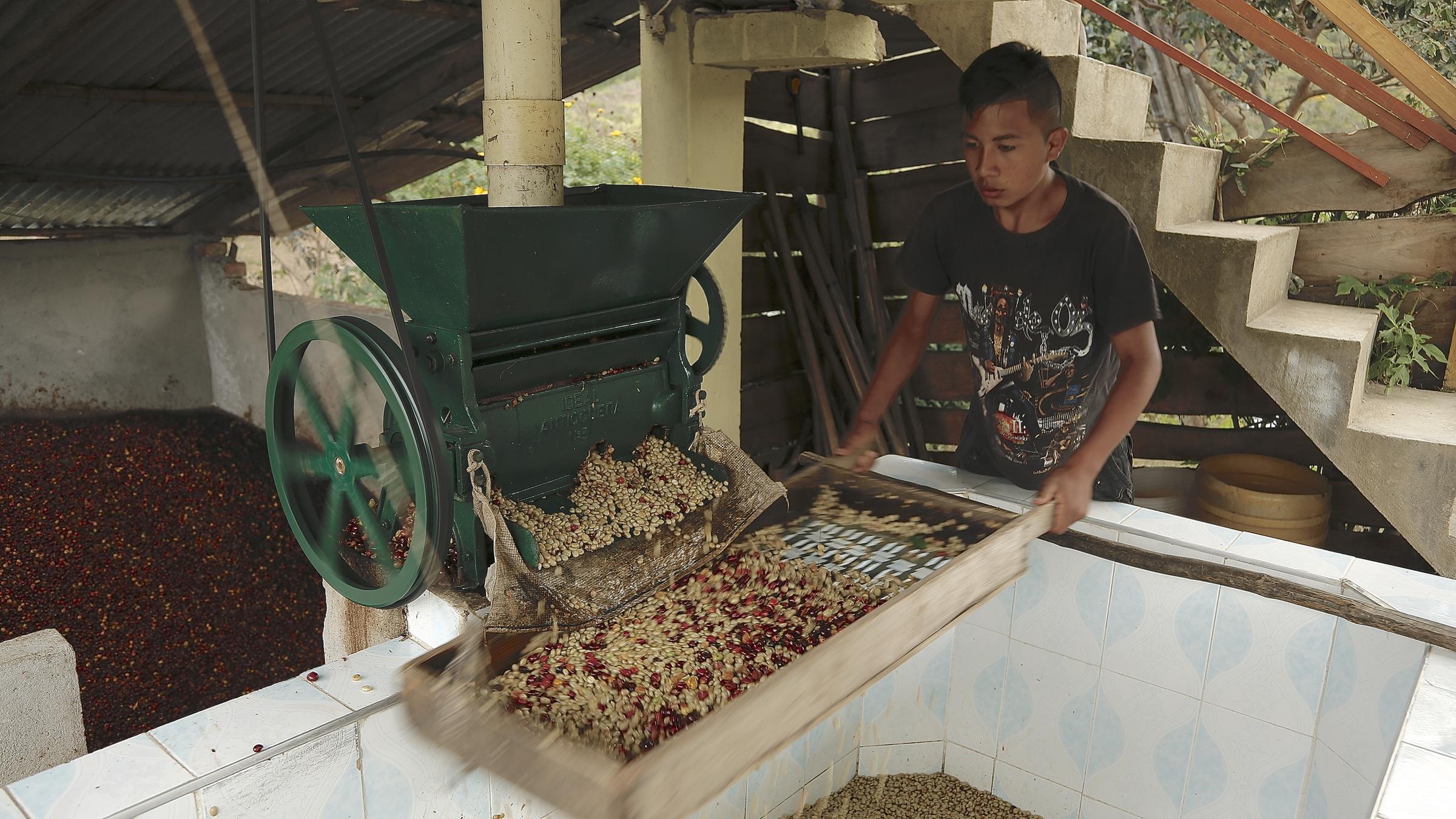 "planet e.: Klimawandel im Supermarkt": Deison Delgardo siebt Kaffeebohnen.