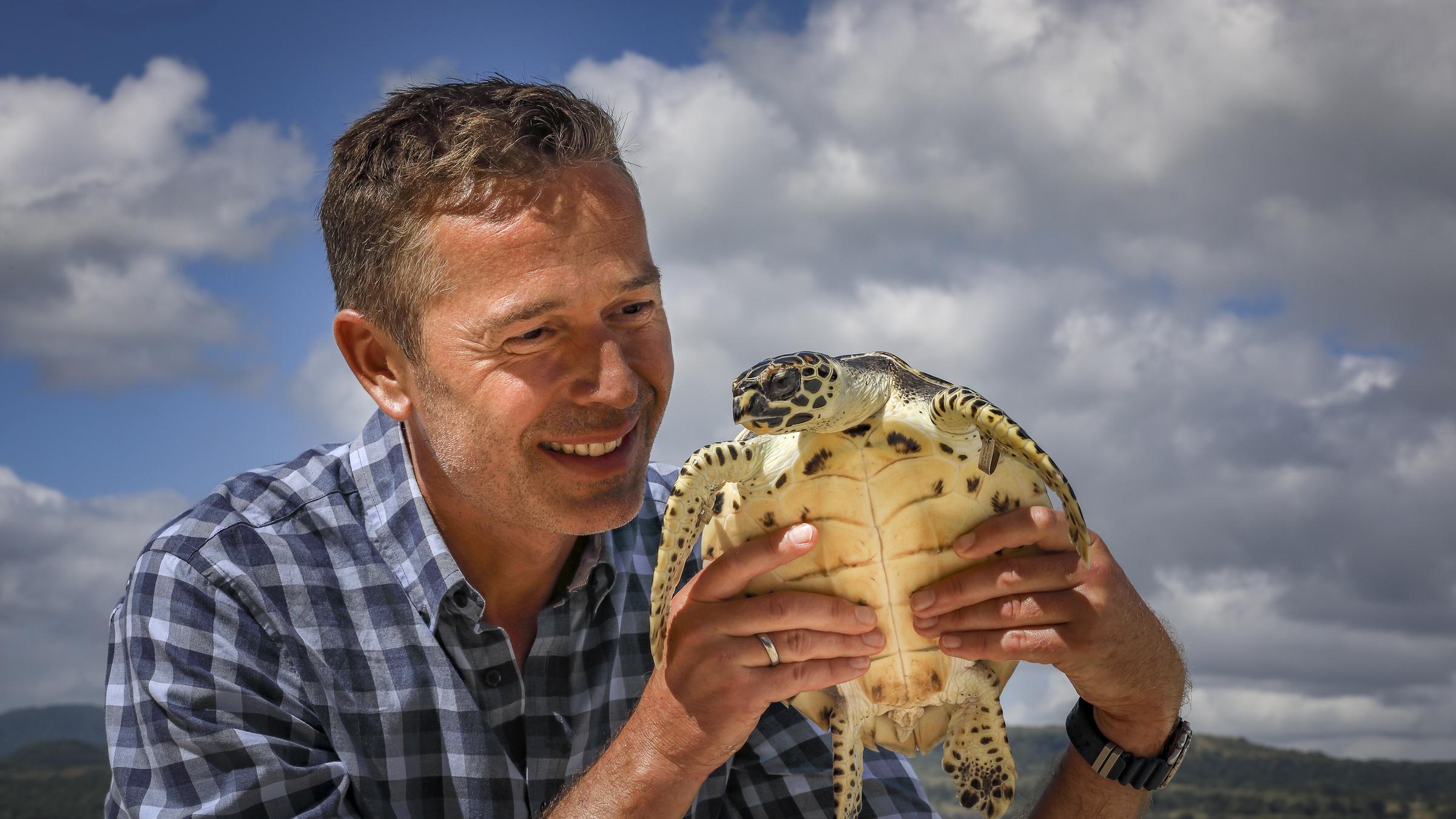 "Terra X: Faszination Erde - mit Dirk Steffens - Südsee: Paradies am Abgrund": Dirk Steffens mit Karettschildkröte 007.