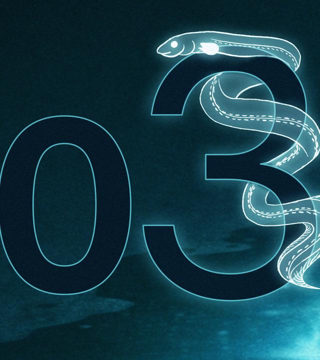 Eine große Drei, um die sich ein gezeichneter Aal windet