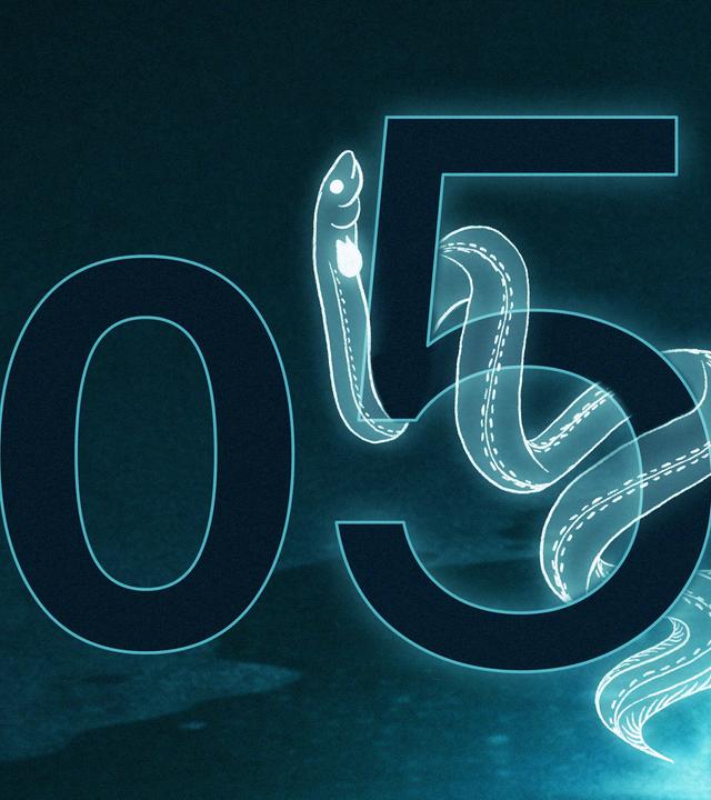 Eine große Fünf, um die sich ein gezeichneter Aal windet