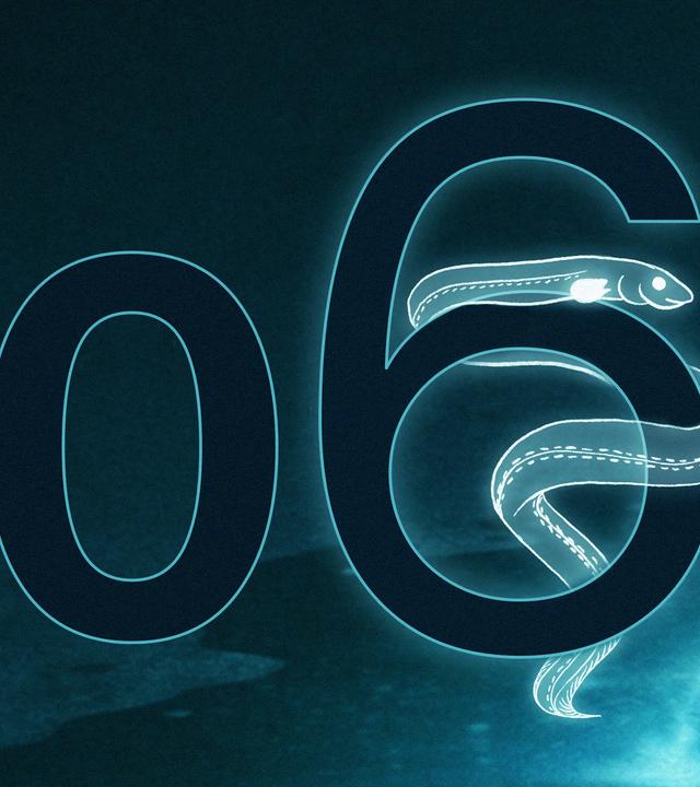 Eine große Sechs, um die sich ein gezeichneter Aal windet