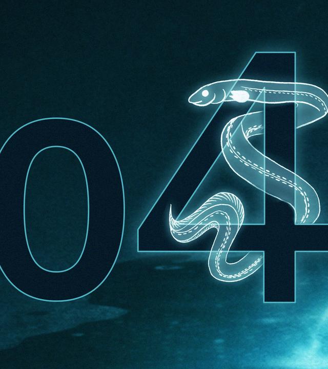 Eine große Vier, um die sich ein gezeichneter Aal windet