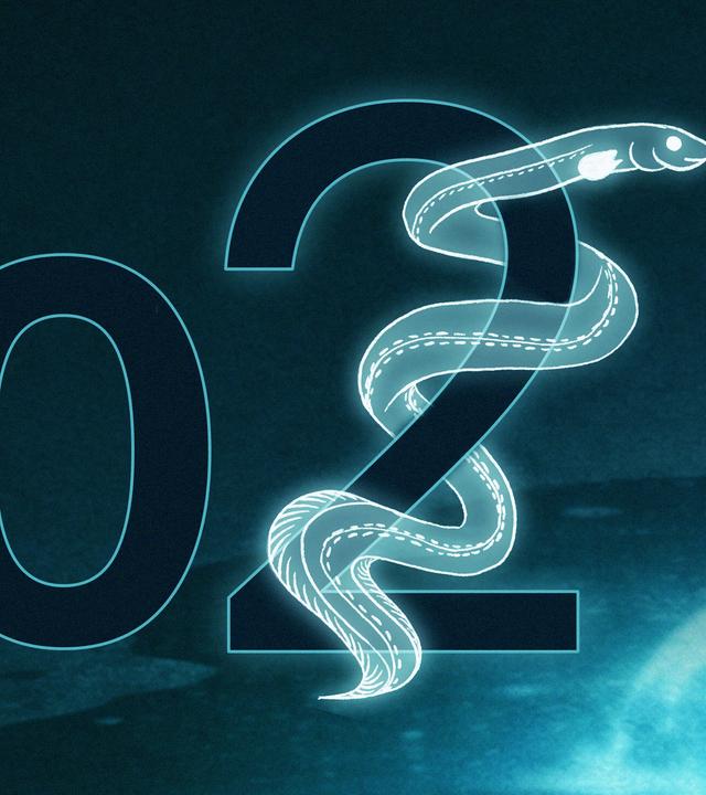 Eine große Zwei, um die sich ein gezeichneter Aal windet