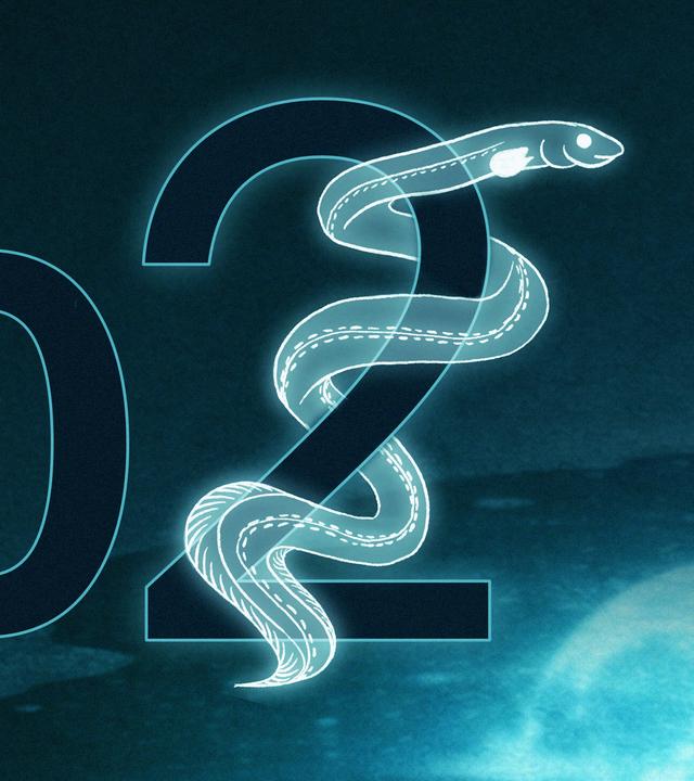 Eine große Zwei, um die sich ein gezeichneter Aal windet