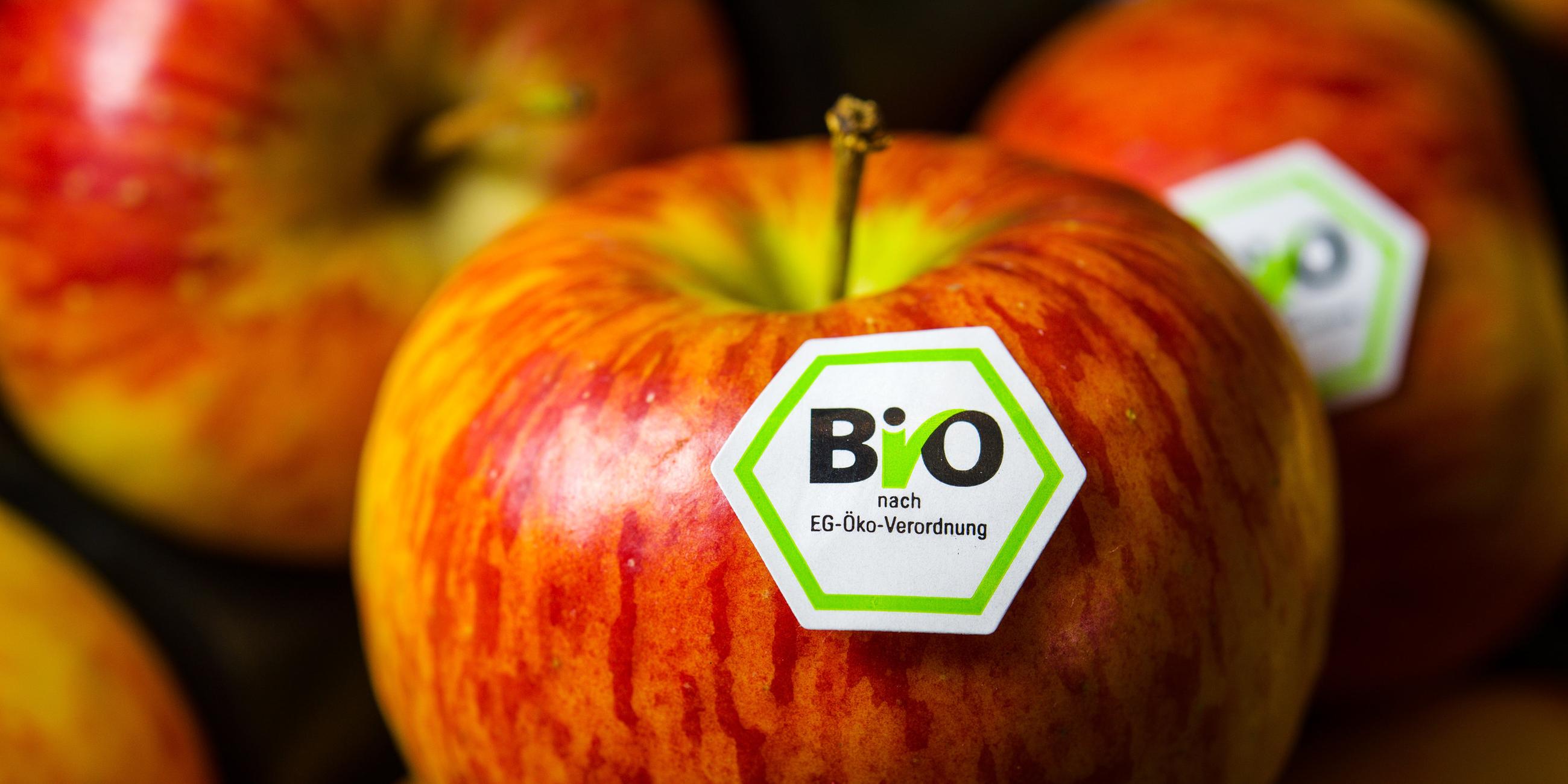Mit dem Bio-Siegel der EU erkennt man überall, ob es sich um ein Bioprodukt handelt.