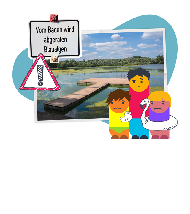 Ein Schild auf dem steht: Vom Baden wird abgeraten Blaualgen, darunter ein Warndreieck und drei Figuren die auf ein Foto von einem See mit Steg und Algen schauen.