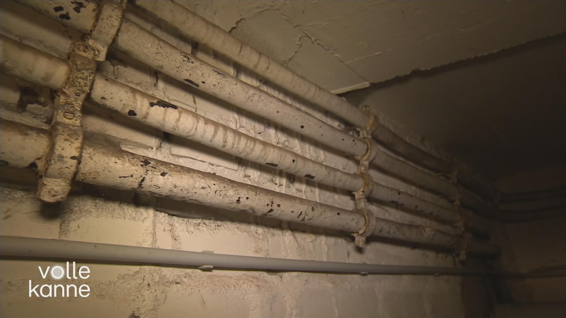 4 Rohre in Wohnungskeller