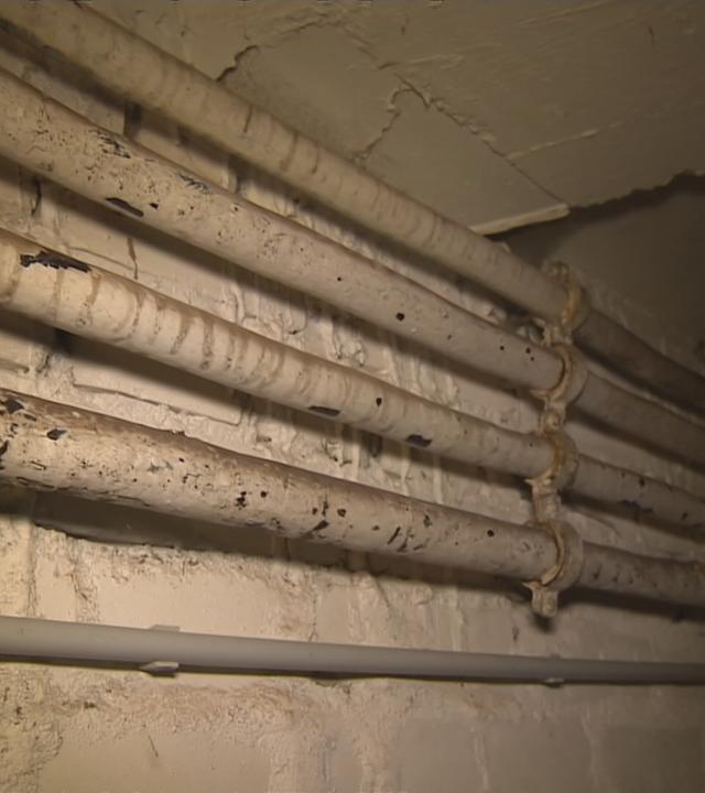 4 Rohre in Wohnungskeller