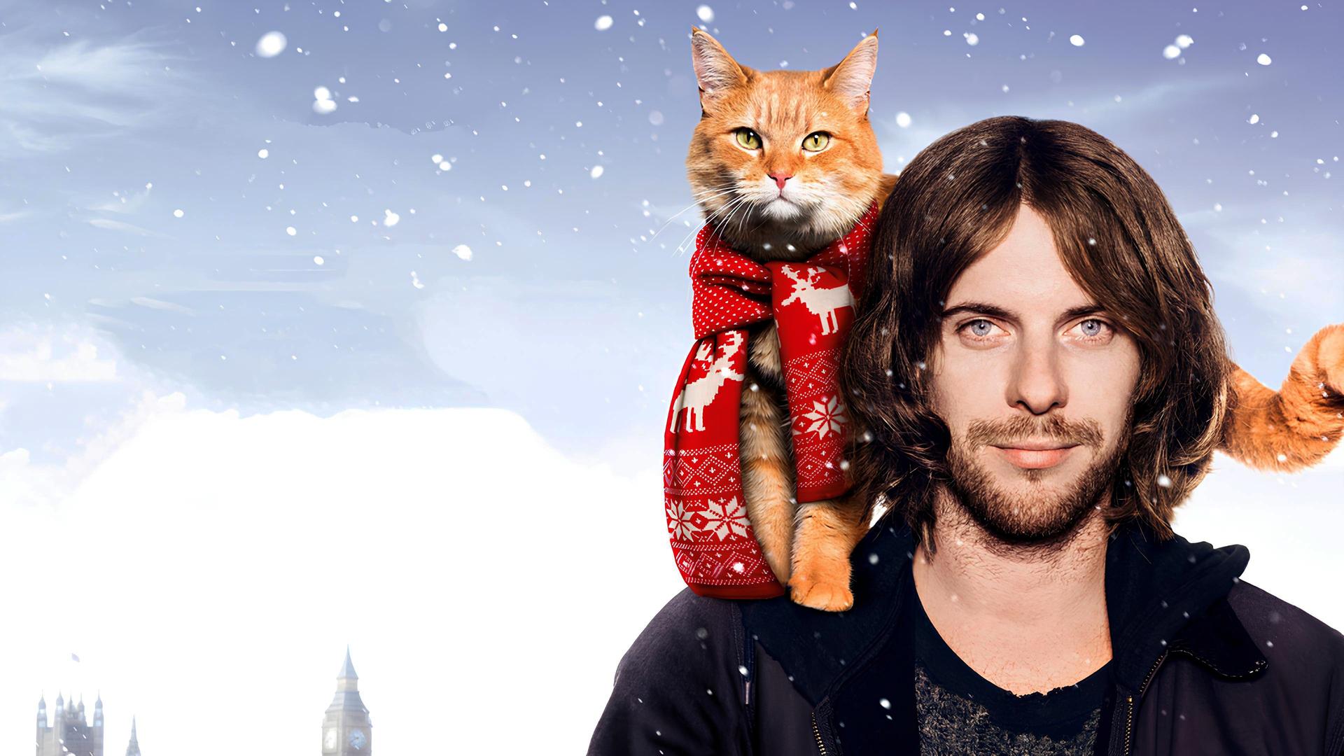 Plakatmotiv zum Film mit Kater Bob und Luke Treadaway.