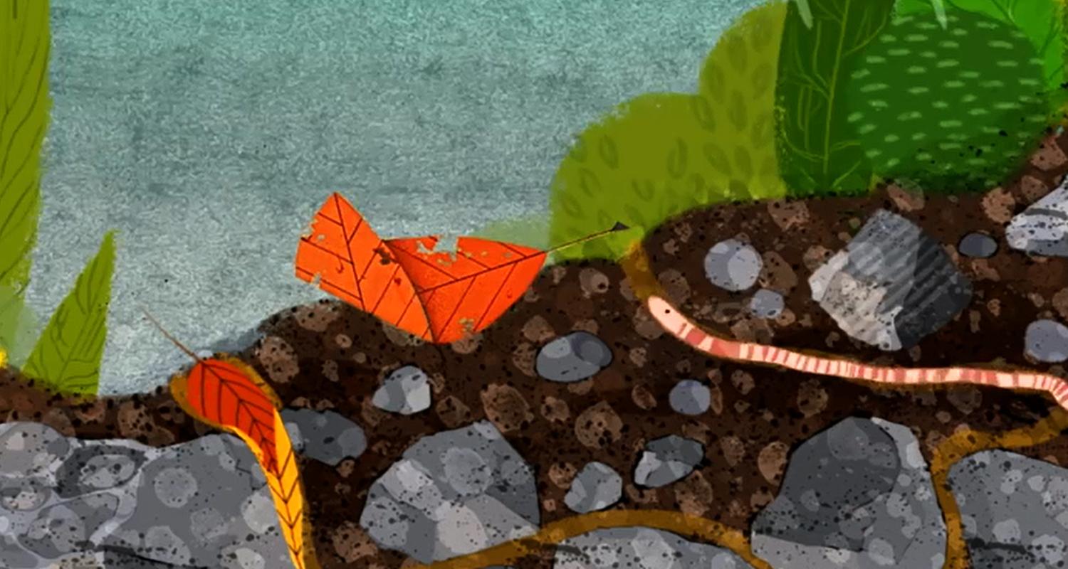 Ein Regenwurm kriecht aus dem Boden. 