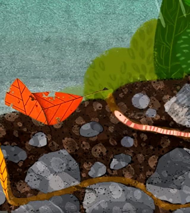 Ein Regenwurm kriecht aus dem Boden. 