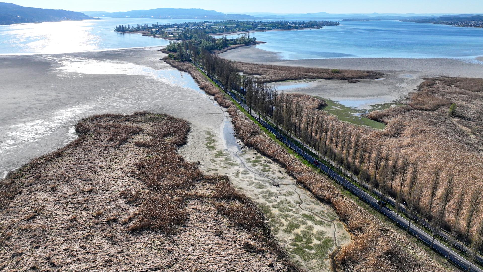 Bodensee führt Niedrigwasser