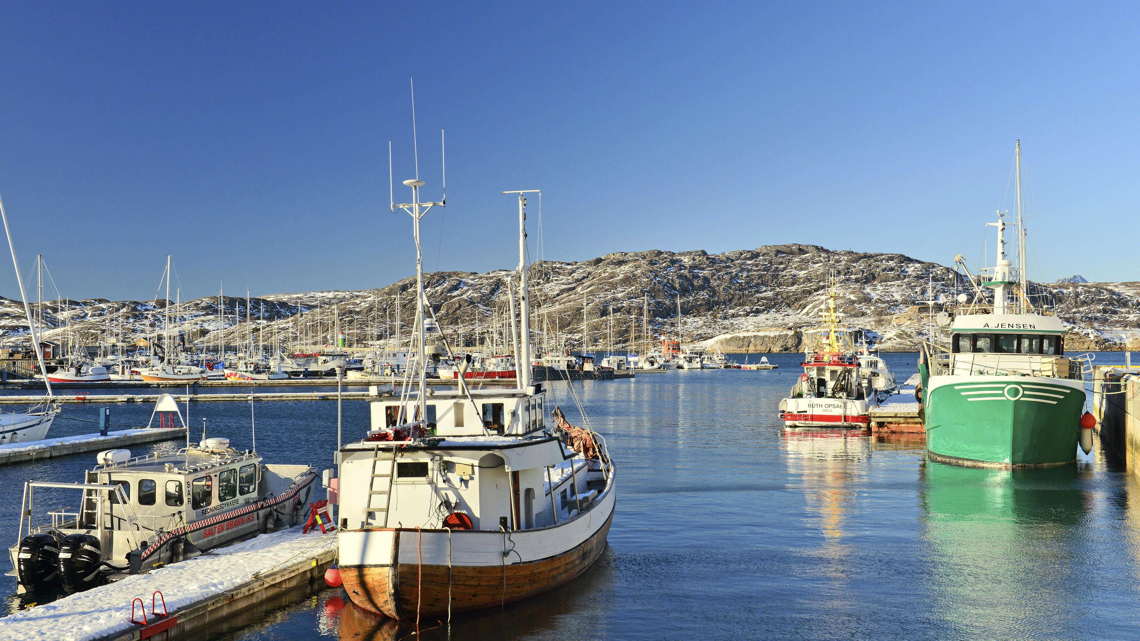 Fischerboote im Hafen von Bodø
