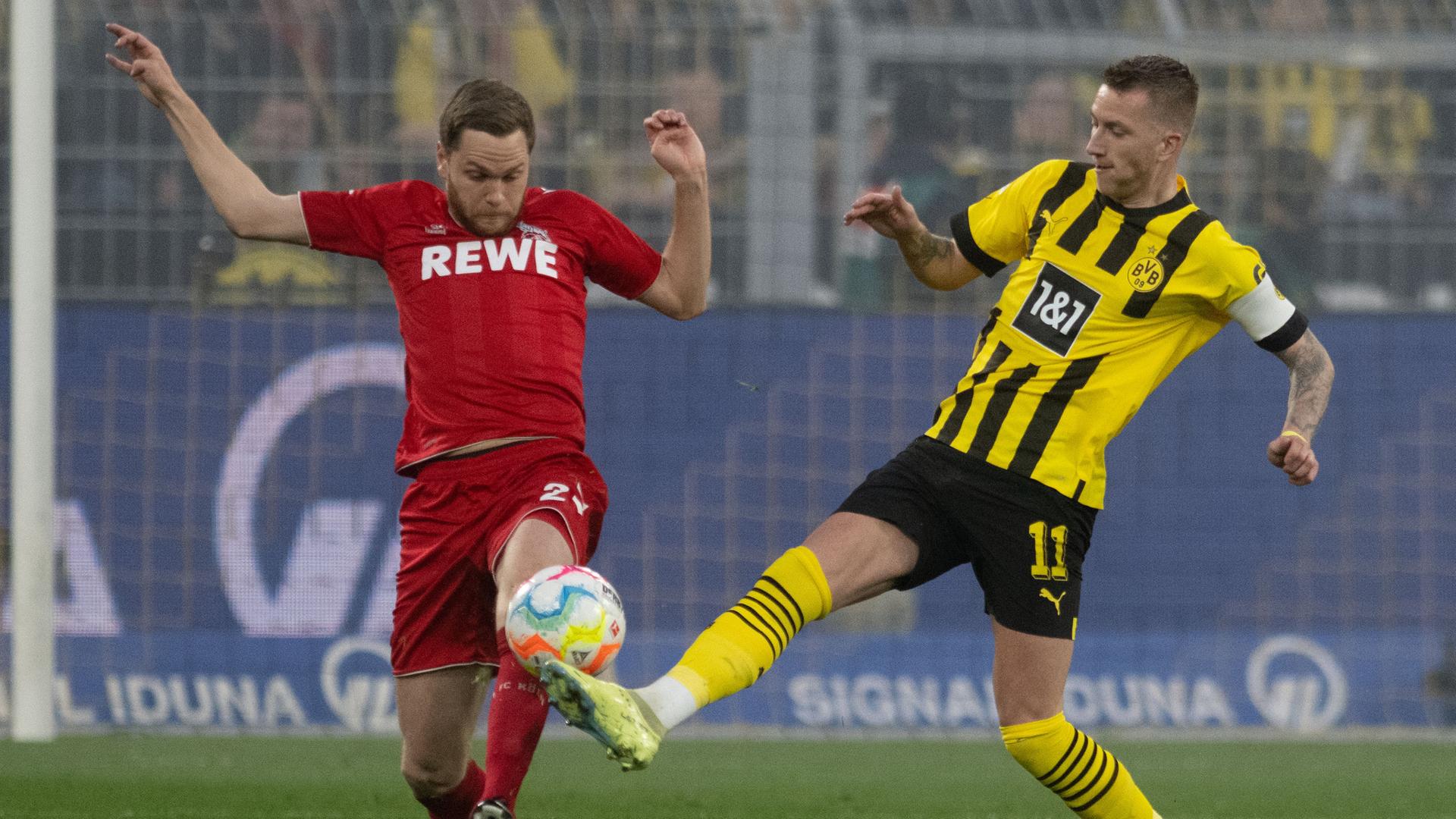  Dortmunds Marco Reus (l) und Kölns Sargis Adamyan in Aktion.