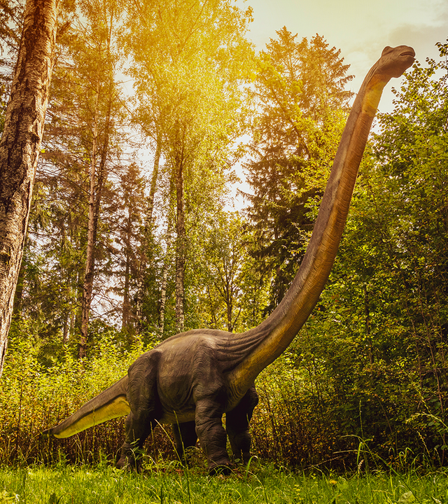 Brachiosaurus im Wald