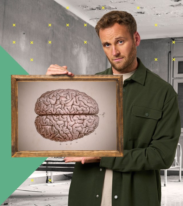 Logo Brain Projects
